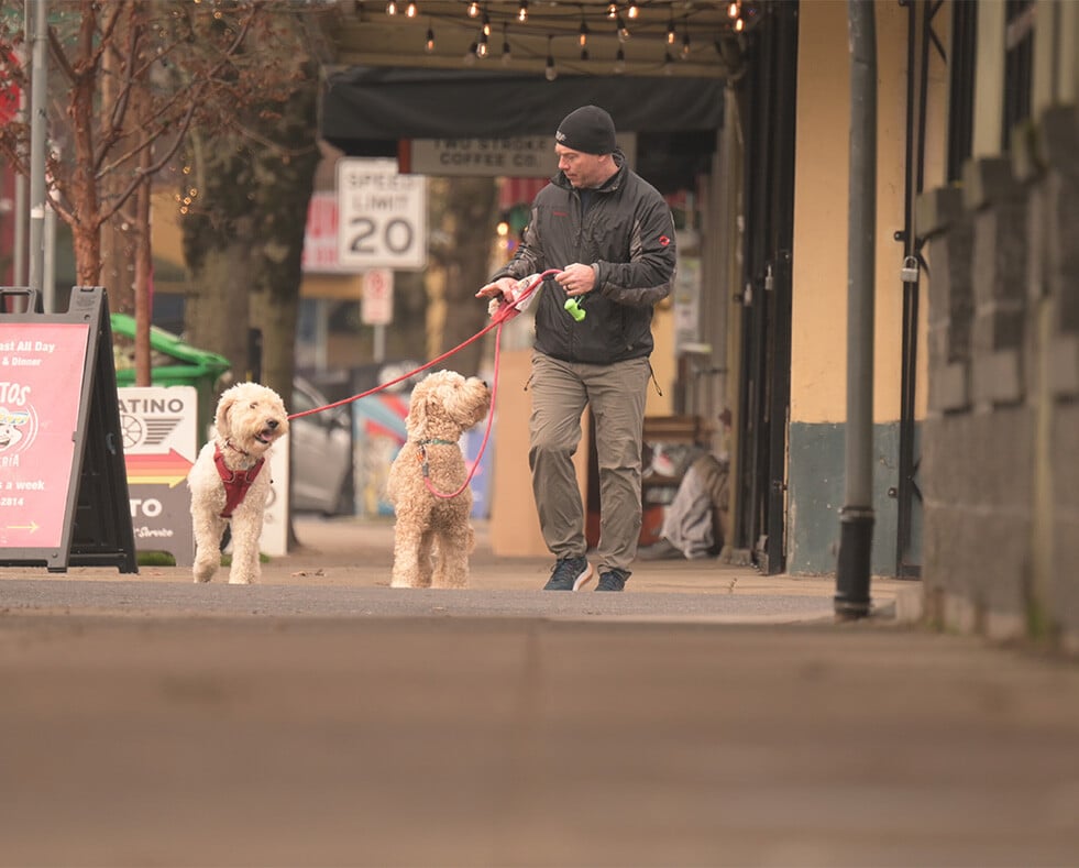 Man walking two dogs