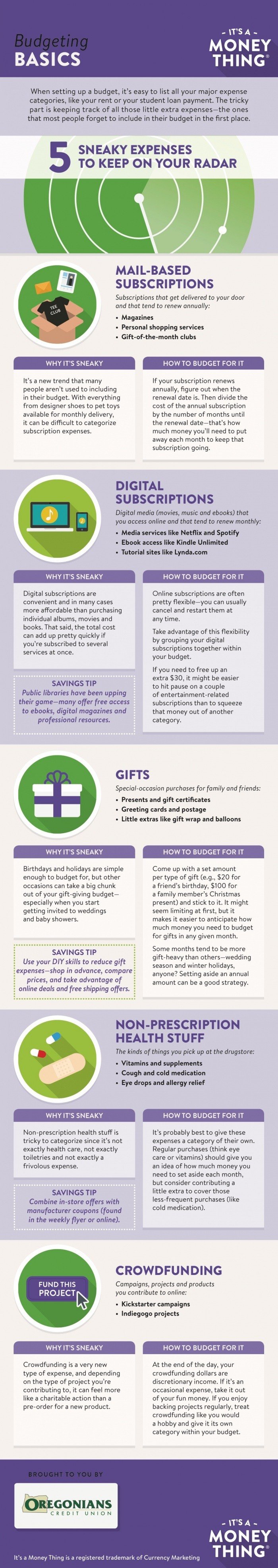 Budgeting Basics Infographic