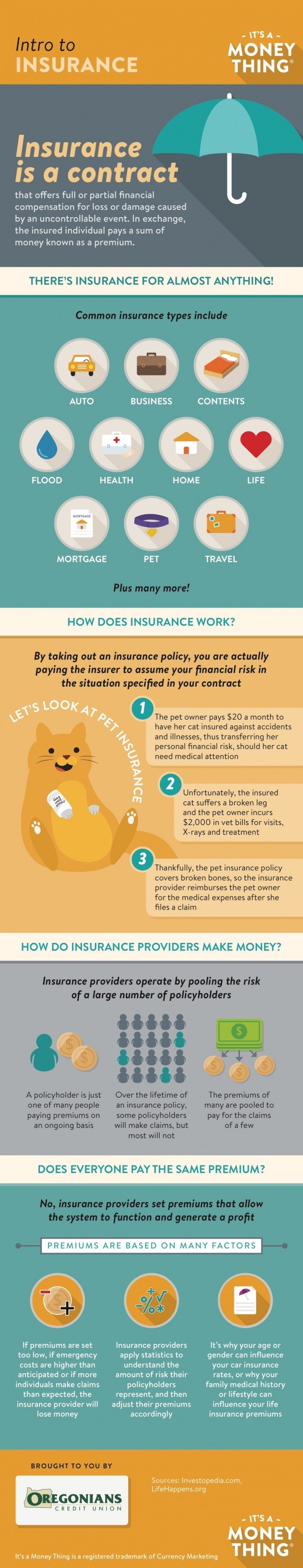 Intro to Insurance Infographic